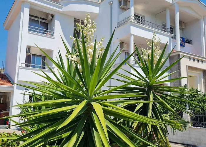 Apartments Oxa